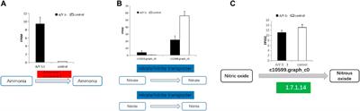 Enhanced nitrogen removal via Yarrowia lipolytica-mediated nitrogen and related metabolism of Chlorella pyrenoidosa from wastewater